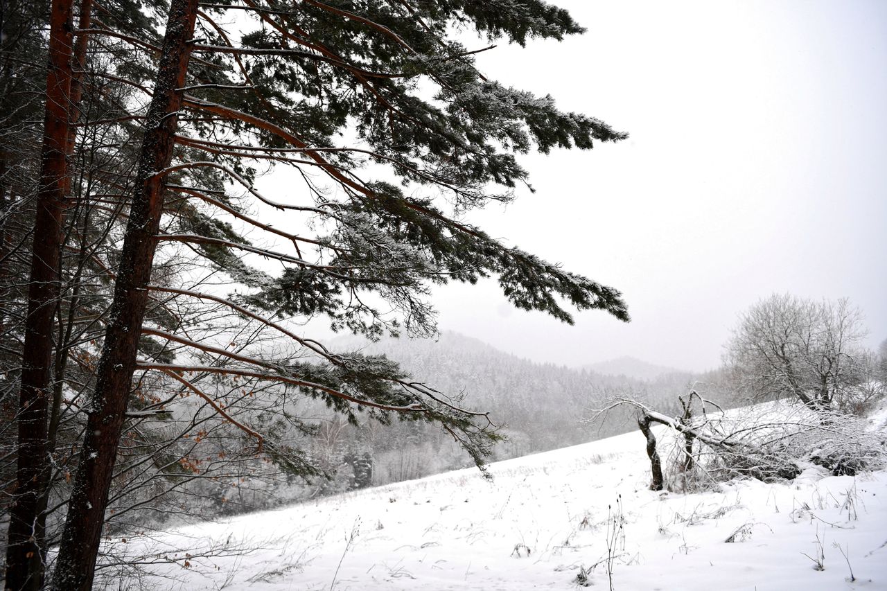 Bieszczady: ogłoszono trzeci stopień zagrożenia lawinowego