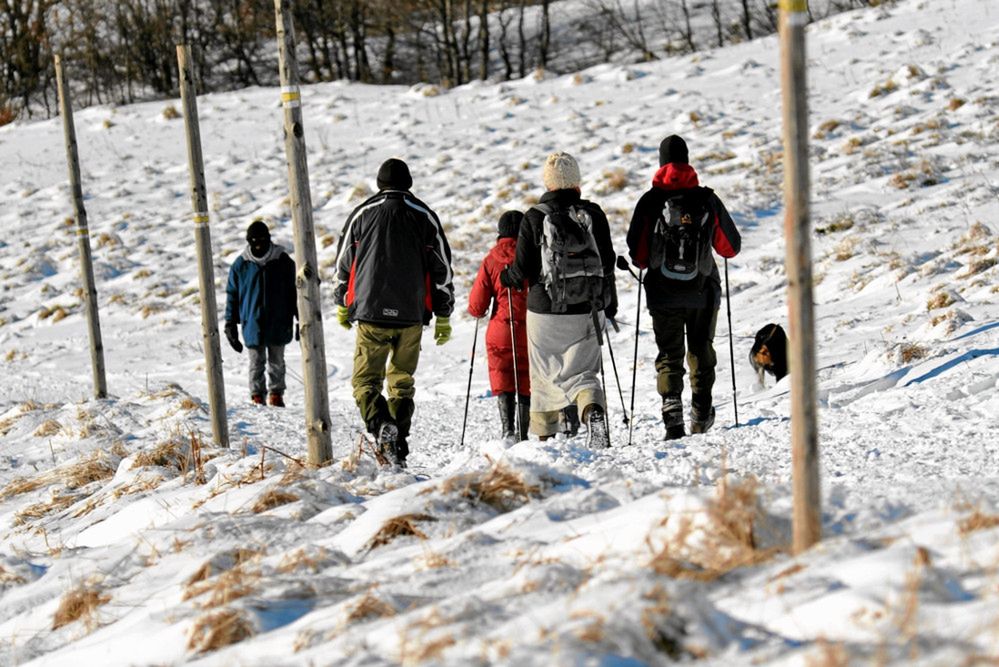 Ratownicy GOPR uratowali w Bieszczadach sześciu turystów