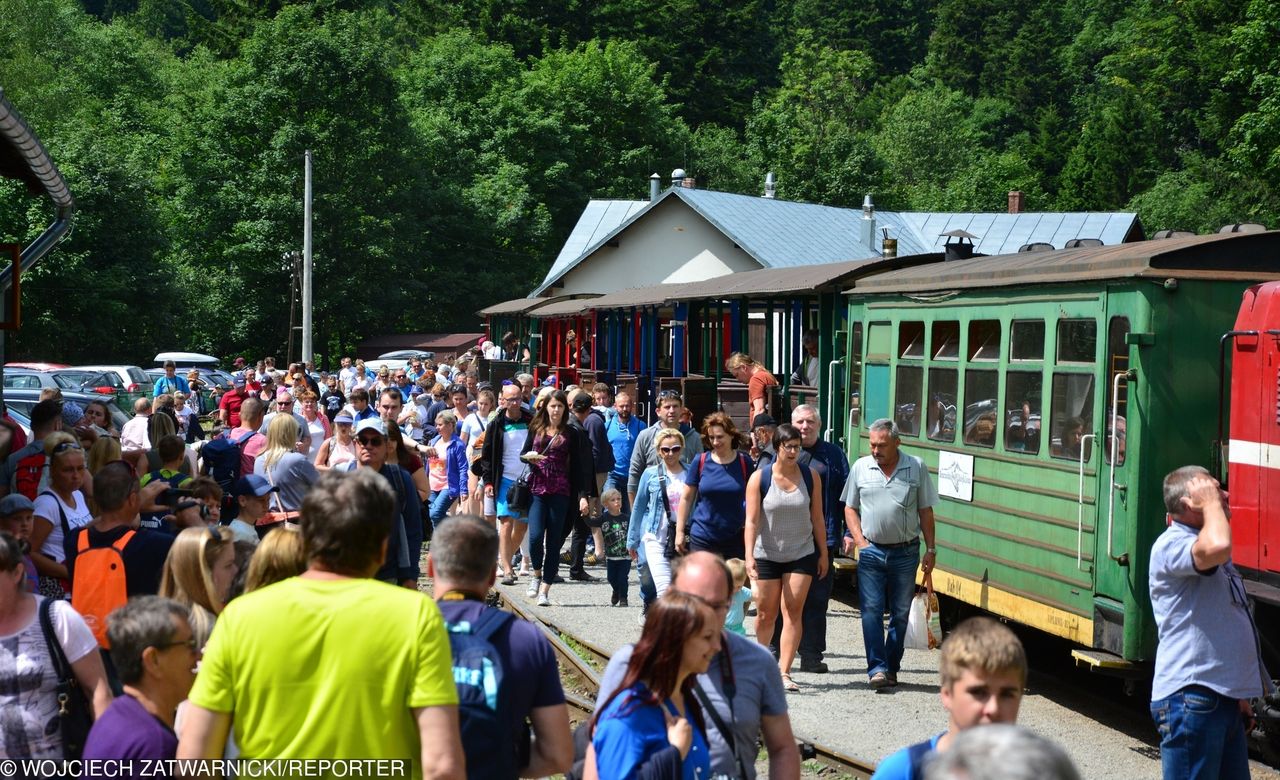 Bieszczady. Cisza i głusza czy hipsterski tłum na szlaku? Jak wygląda alternatywa wobec Zakopanego