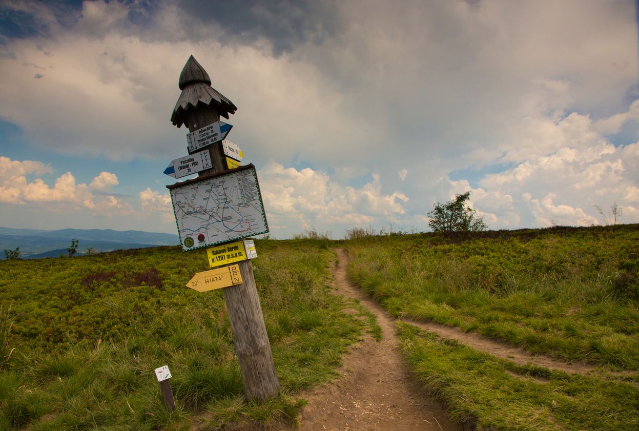 A gdyby tak rzucić wszystko, wyjechać w Bieszczady i zrobić selfie? Nie radzimy