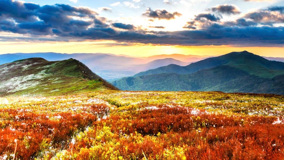 Bieszczady to bezkresne połacie roślinności, dzika zwierzyna, małe jeziorka, skanseny i pomniki historii