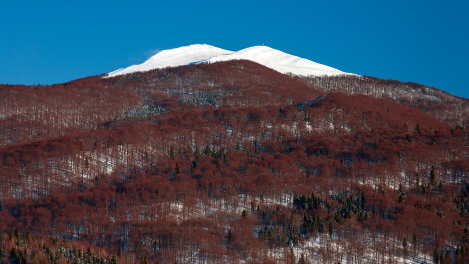 Aplikacja "Bieszczady & MRB Karpaty Wschodnie" zaprasza do poznania magicznych terenów Międzynarodowego Rezerwatu Biosfery Karpaty Wschodnie