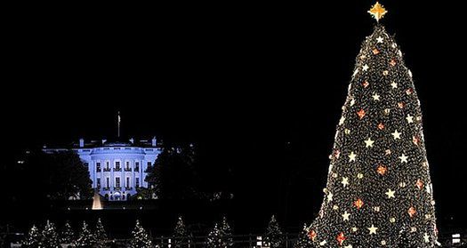 Najbardziej znana choinka świata