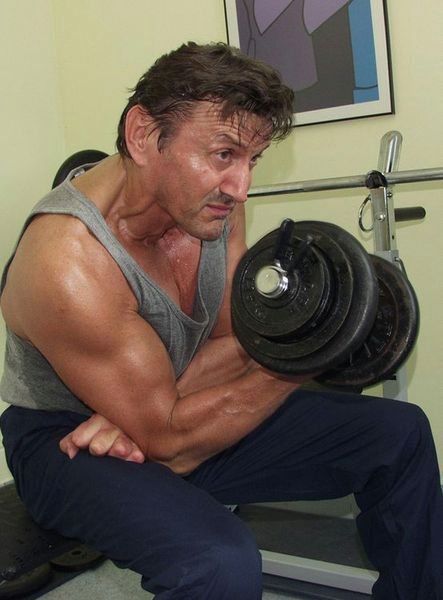 Krzysztof Majchrzak 