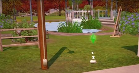 Szalone sceny z życia psów i kotów - Sims 3 Zwierzaki