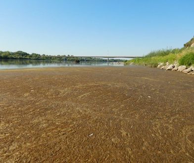 Polska spływa ściekami. Pracownik oczyszczalni ujawnia: nocą puszczamy wszystko do rzeki