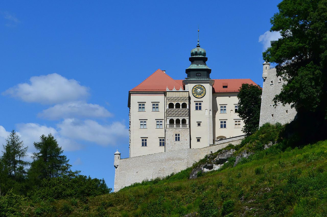 Obraz