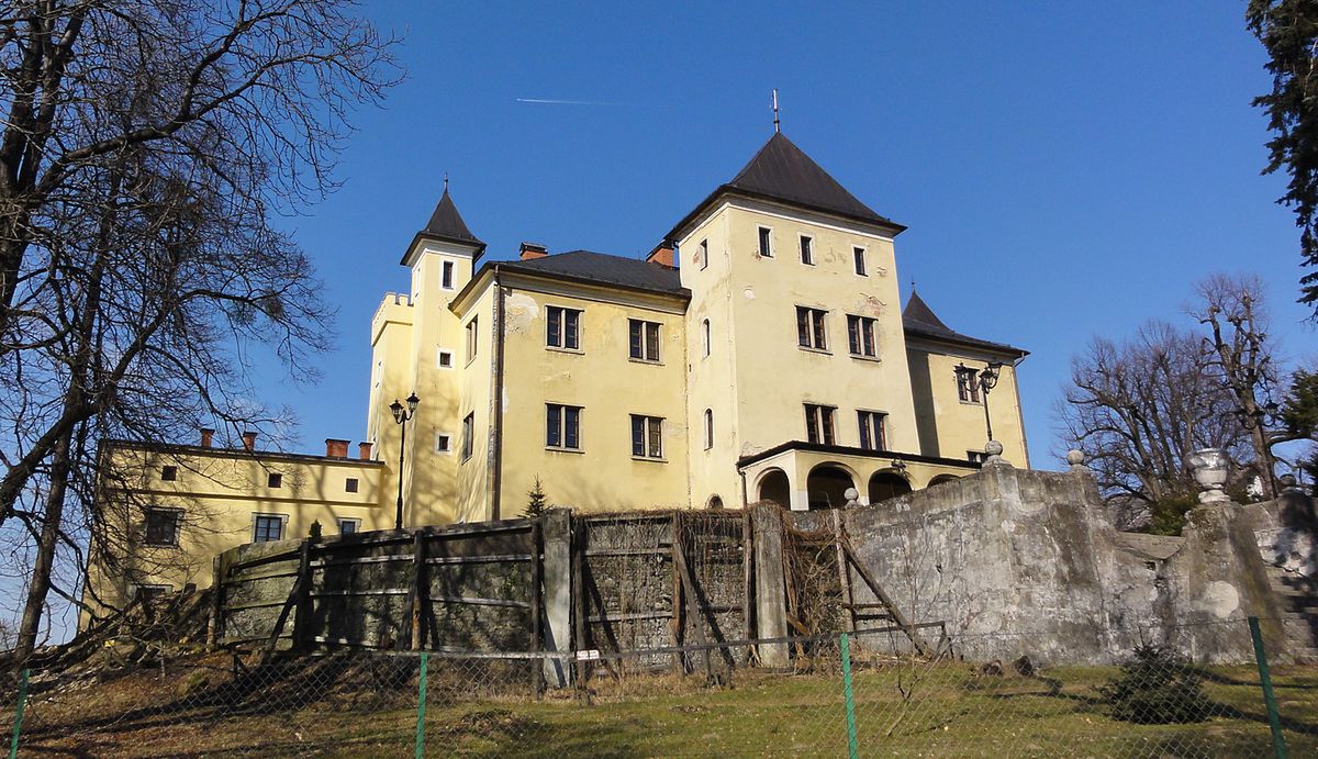 Obraz
