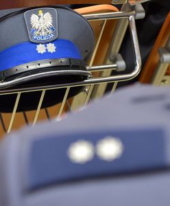 Przybywa zwolnień L4 w komendach. Znana jest skala "psiej grypy" policjantów