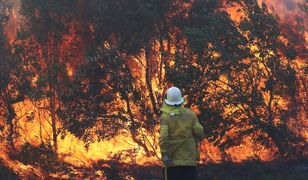 Najpierw Amazonia, teraz Australia. Olbrzymie pożary pochłonęły prawie 100 domów