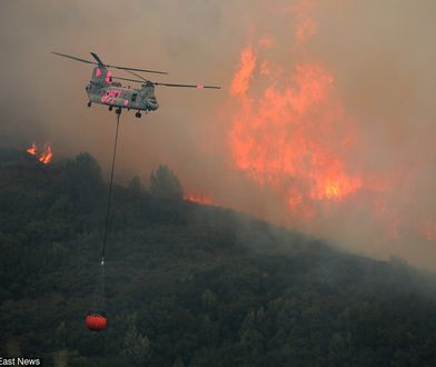 Kalifornia wciąż płonie. Ogień strawił już ponad tysiąc domów