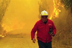 Podpalono las w Kalifornii, 4 strażaków zginęło