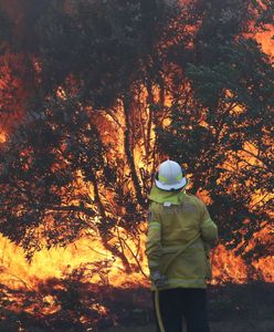 Najpierw Amazonia, teraz Australia. Olbrzymie pożary pochłonęły prawie 100 domów