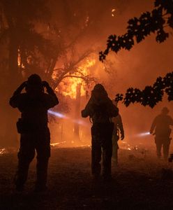 USA. W Kalifornii szaleją pożary. Gubernator Gavin Newsom ogłasza stan wyjątkowy