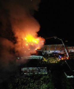 Biała w Wielkopolsce. Pożar schroniska dla bezdomnych