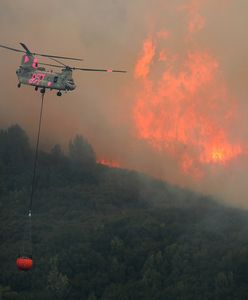 Kalifornia wciąż płonie. Ogień strawił już ponad tysiąc domów