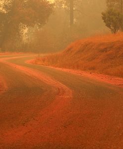 Ziemia w ogniu. Najlepsze zdjęcia tygodnia