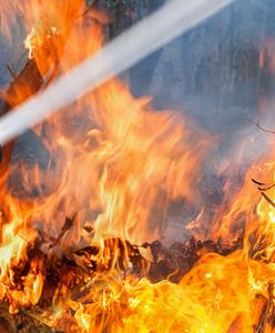 Łódzkie: potężny pożar. Płonie hala z odpadami