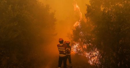 Portugalia: podpalenie przyczyną pożarów?