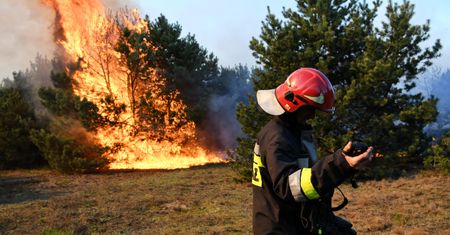 Płonie las pod Bydgoszczą. Strażacy: winne grille i ogniska