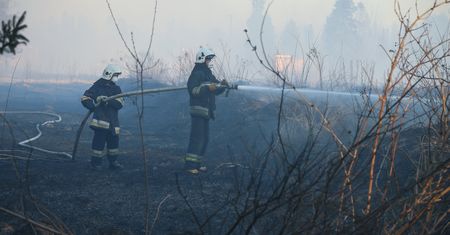 Pożar trzcinowiska w Zachodniopomorskiem. Wystąpiła burza ogniowa