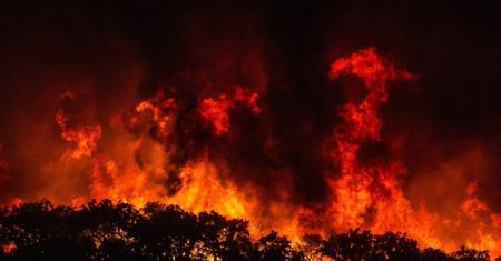 Portugalia płonie. Trzeci dzień tragicznych pożarów