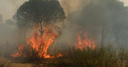 Tak wyglądała ewakuacja Polaków z pożaru. "Dym wdzierał się do pokojów, ogień się zbliżał"