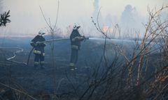 Pożar trzcinowiska w Zachodniopomorskiem. Wystąpiła burza ogniowa