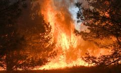 Kampinos. Ogromny pożar pod Warszawą. Płonie 15 hektarów lasu