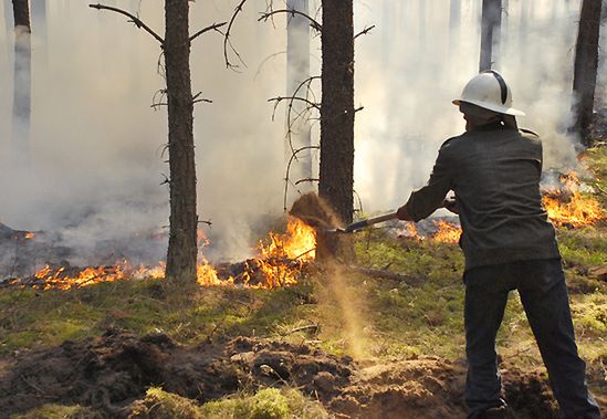 Groźne pożary w zachodniej Polsce