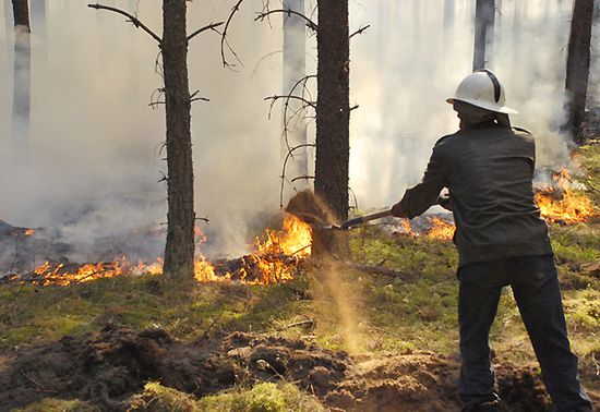 Groźne pożary w zachodniej Polsce