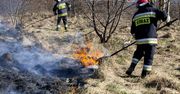 Mocno czuć wiosnę. Wypalanie traw wróciło na potęgę