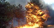 Chorwacja w ogniu. Walka z potężnymi pożarami nadal trwa