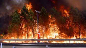 Ogień szaleje przy autostradzie z Alvaidy do Abrantes w środkowej Portugalii
