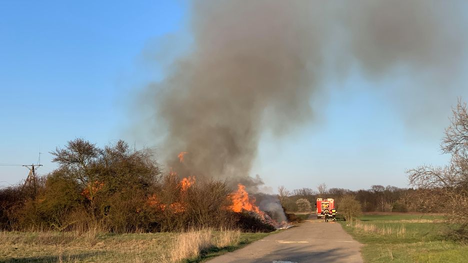 Wrocław. Pożar na Praczach Odrzańskich
