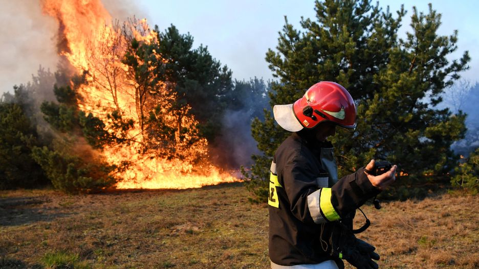 Najczęściej pożar lasu to wynik rozpalenia ogniska, grillowania, rzucenia niedopałka albo iskry od samochodu