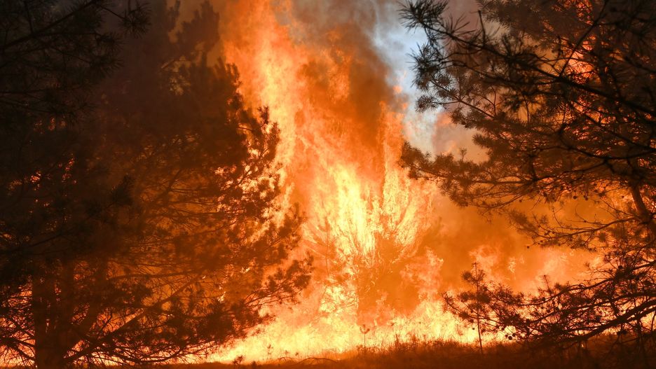 W Kampinosie rozważany jest zrzut wody z powietrza