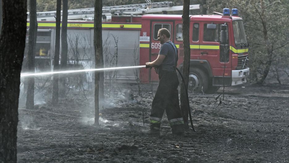 Susza może doprowadzić do słabych plonów i pożarów w lasach