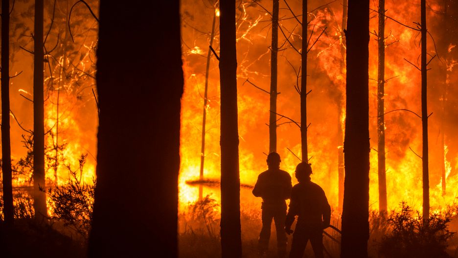 Z pożarem walczy ok. 6 tys. strażaków
