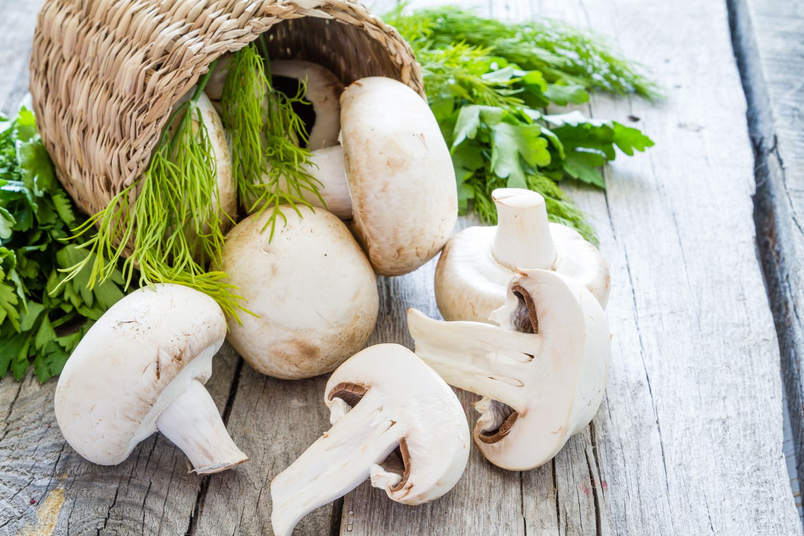 Raw mushrooms in basket, copy space, rustic wood background 