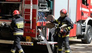 Bydgoszcz: koparka uszkodziła gazociąg. Ewakuowano ok. 50 osób