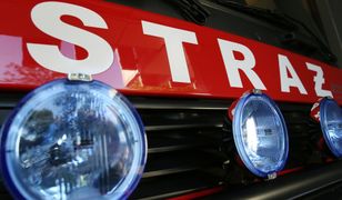 Wypadek w Michałowicach pod Warszawą. Koparka przygniotła robotnika