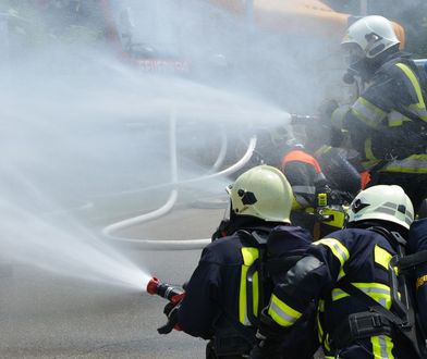 Małopolskie. Pożar w sortowni owoców
