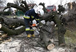 Pogoda. Nad Polską szaleje Yulia. Niszczycielski wiatr spowodował wiele szkód
