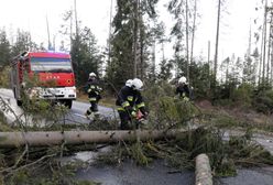 Silny wiatr na południu Polski. Wiele domów bez prądu