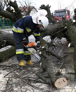 Pogoda. Nad Polską szaleje Yulia. Niszczycielski wiatr spowodował wiele szkód