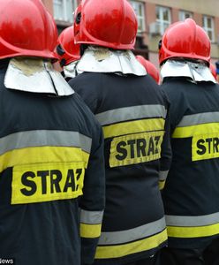 Tyle w Polsce zarabiają strażacy na początku swojej pracy. Kwoty mogą szokować
