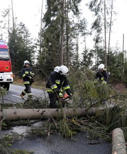 Silny wiatr na południu Polski. Wiele domów bez prądu