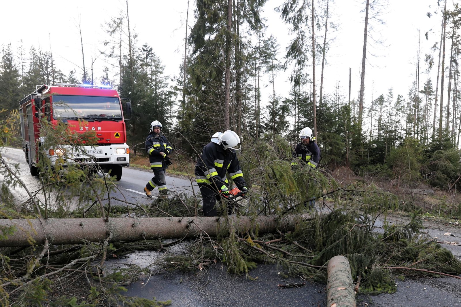 Strażacy usuwają powalone drzewa w Brzezinach. 
