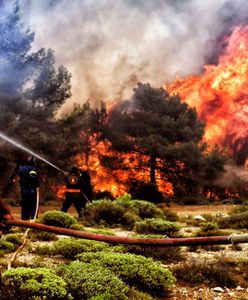 Nie zdążyli uciec. Zdjęcia i nagrania z Grecji